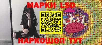 стафф Обнинск