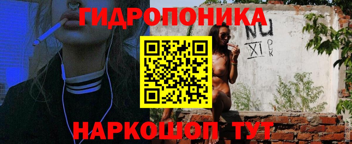 Бошки Шишки VHQ Холмск
